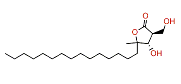 Amphiasterin B4